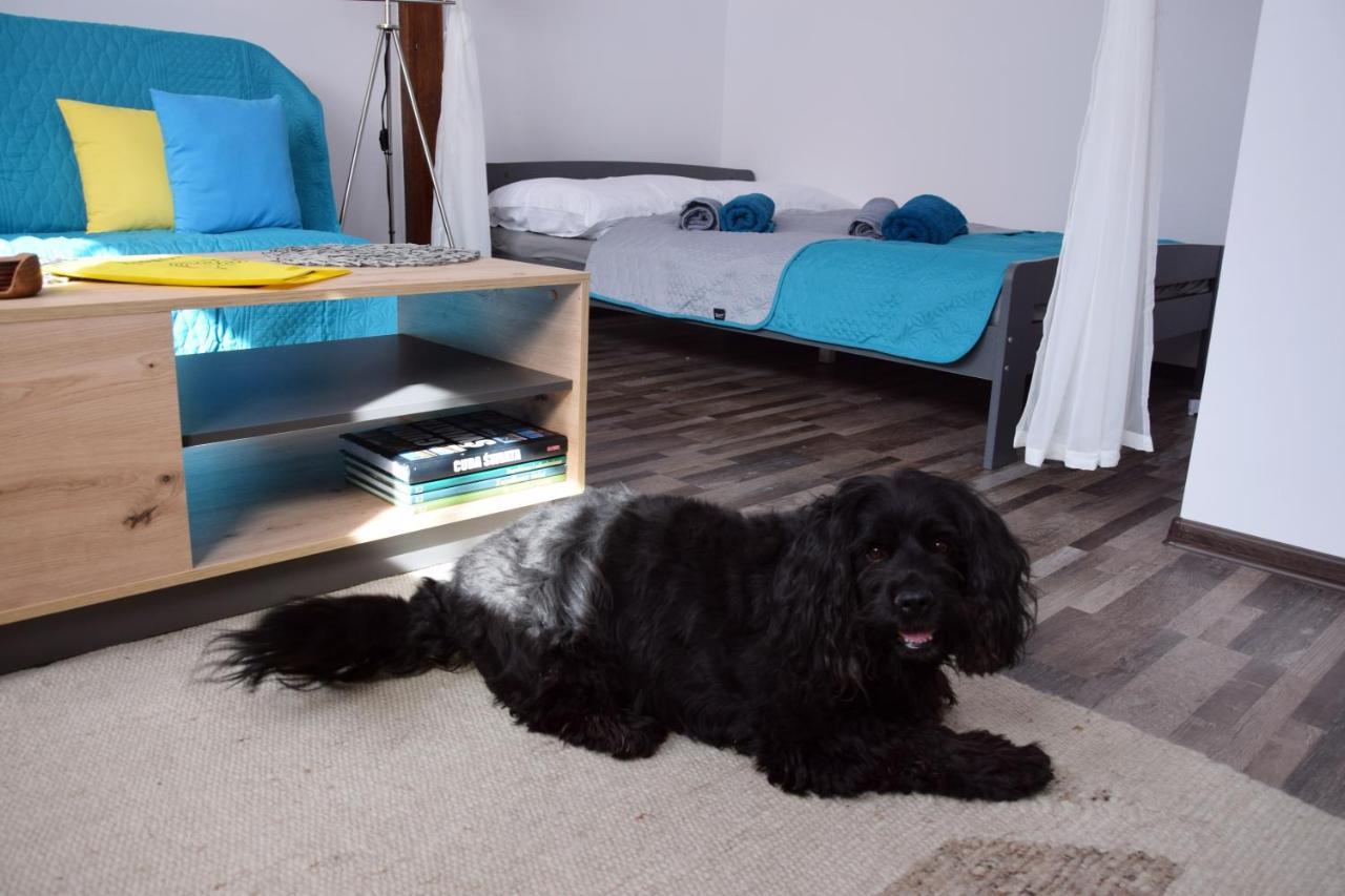 Apartament Gornicza W Kowarach Kowary Bagian luar foto